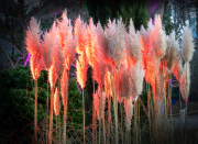 20251221-3M3A3262-Bearbeitet