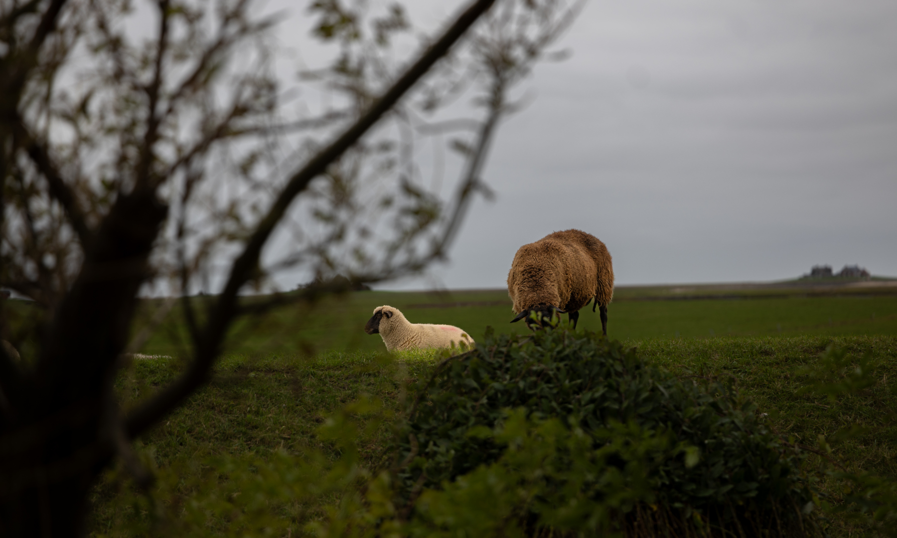 20251015-3M3A1843 20251015-3M3A1843