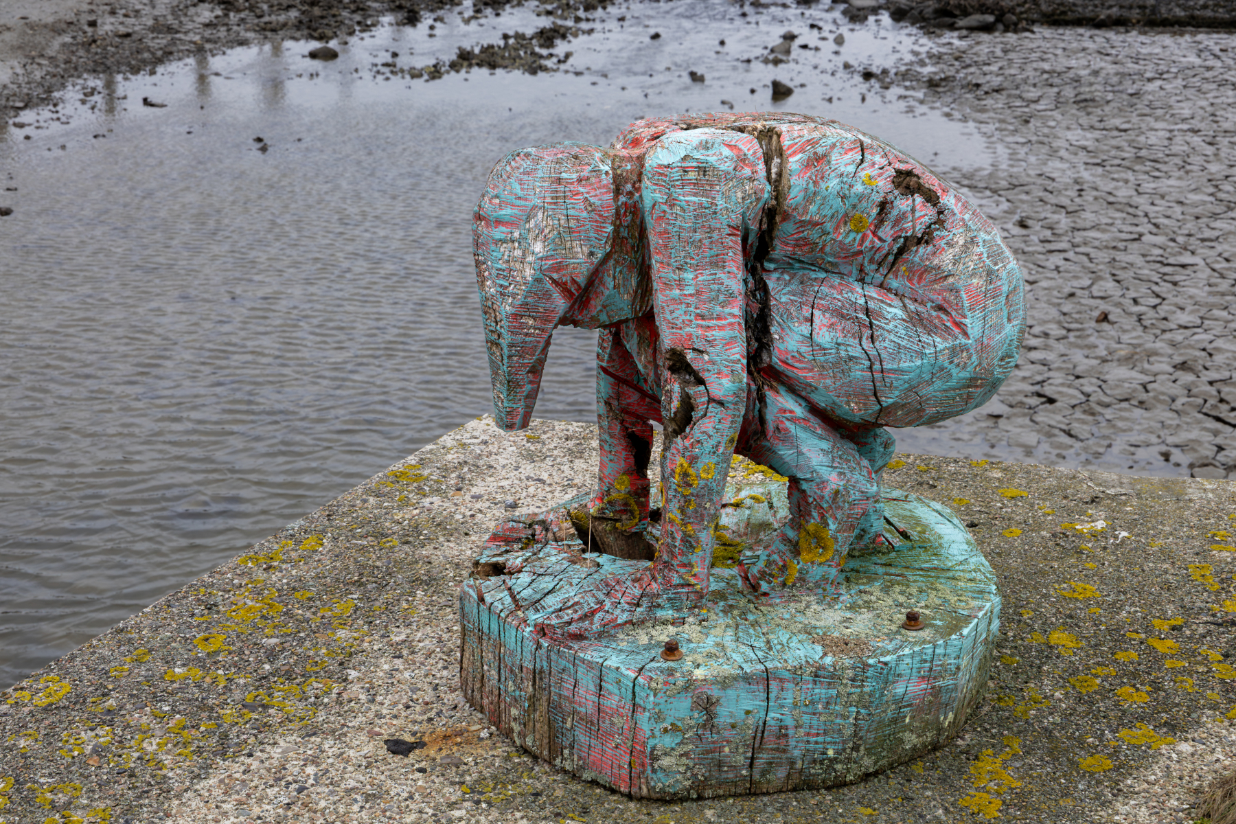 20251015-3M3A1896 20251015-3M3A1896