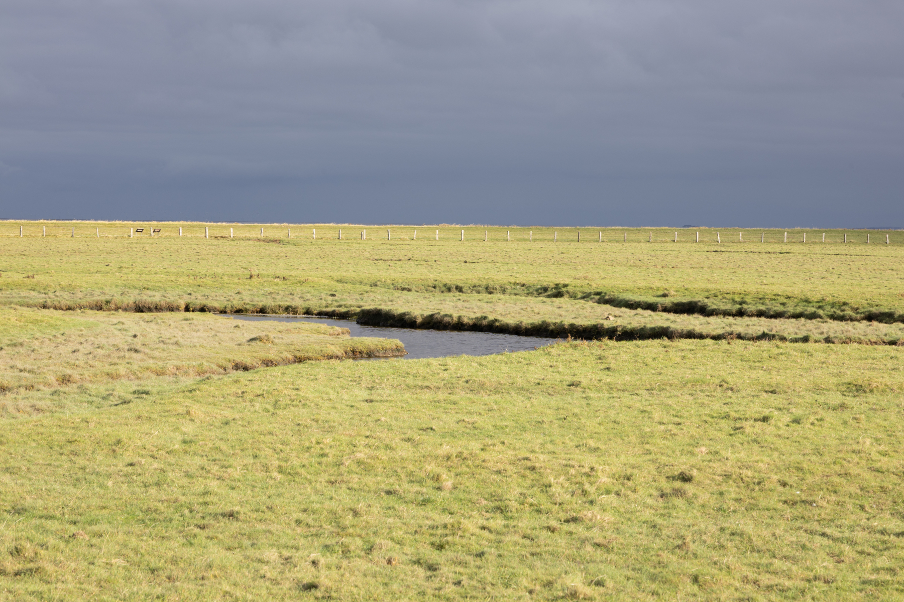 20251015-3M3A1945 20251015-3M3A1945