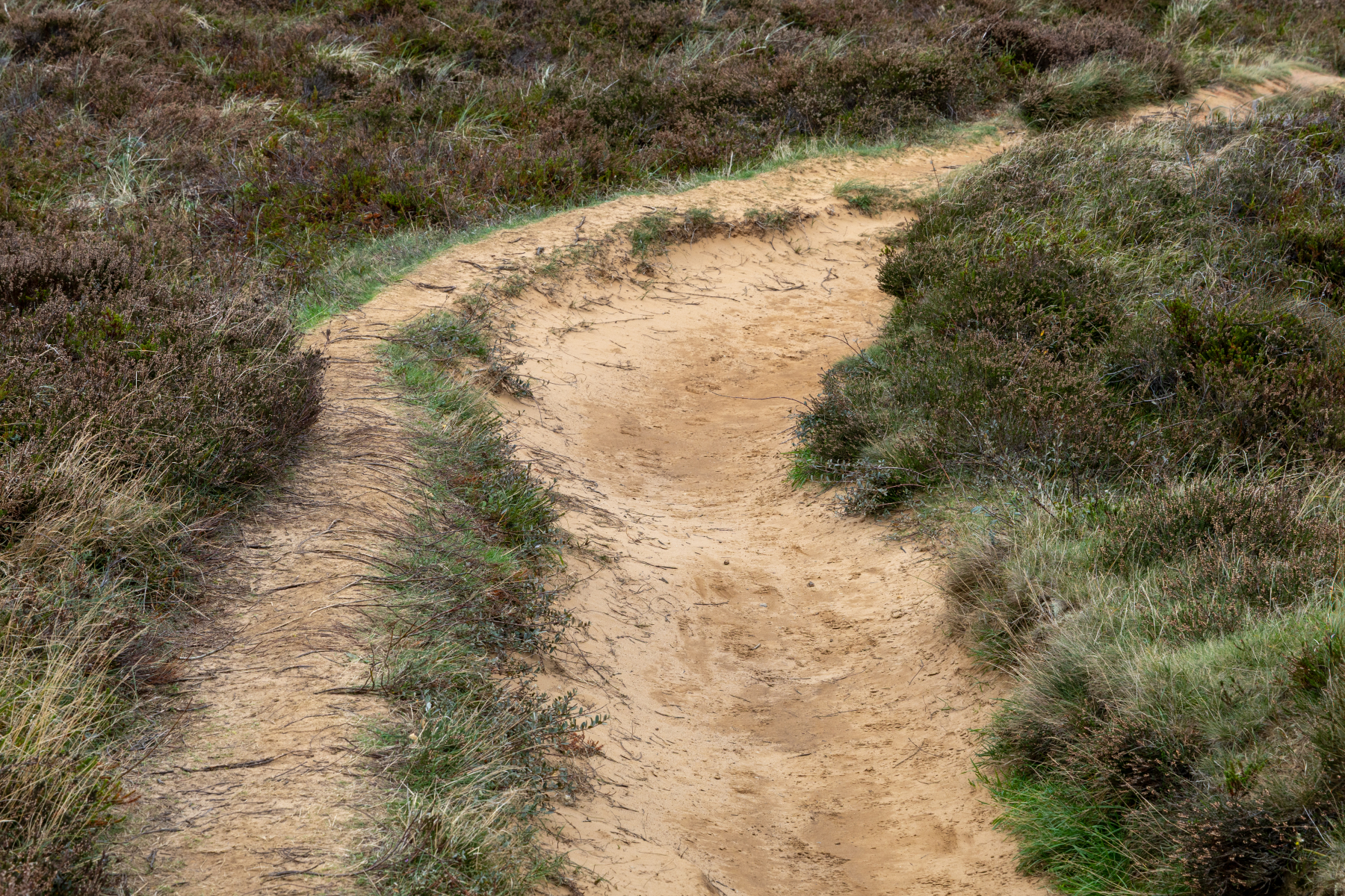 20251017-3M3A2162 20251017-3M3A2162