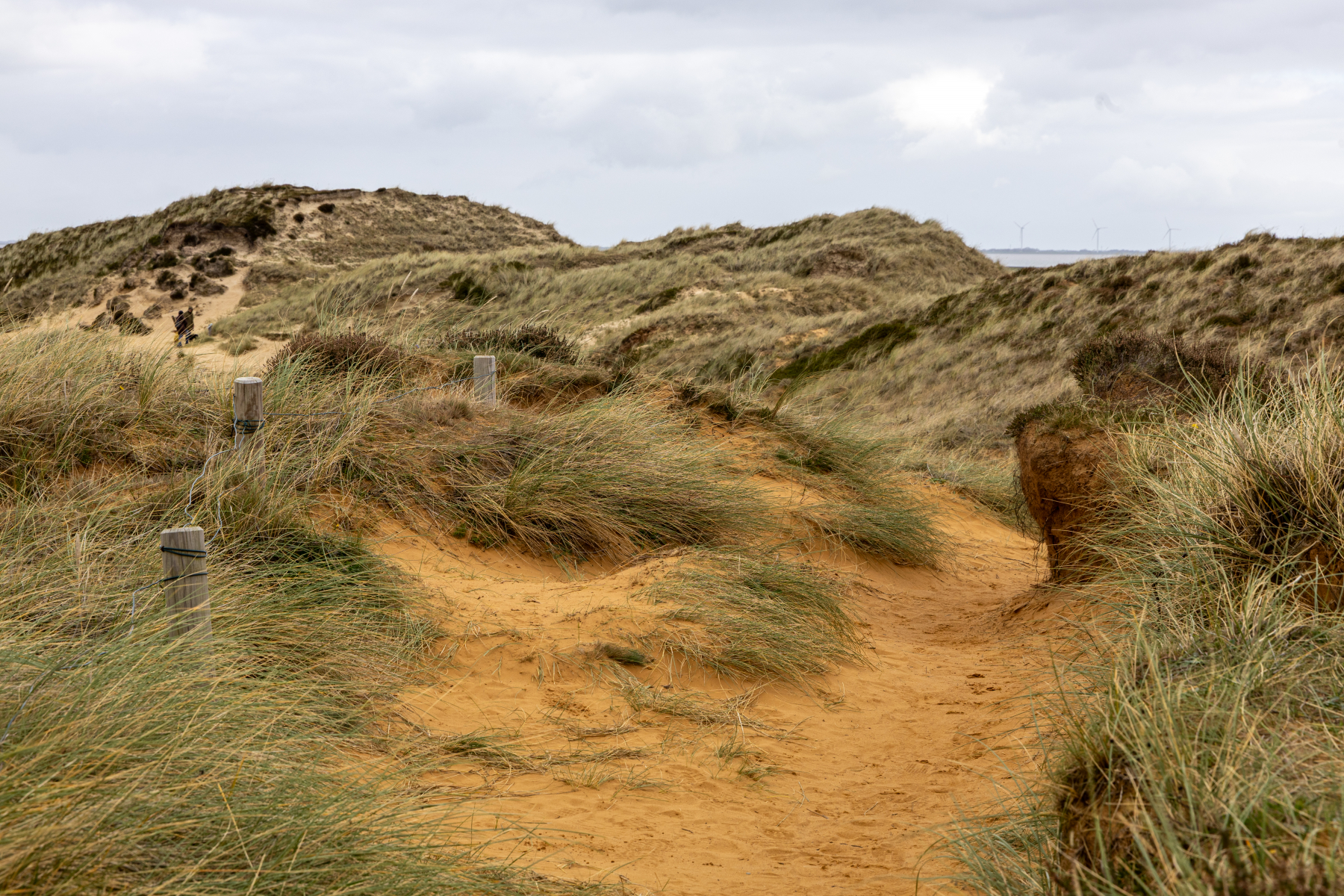 20251017-3M3A2187 20251017-3M3A2187