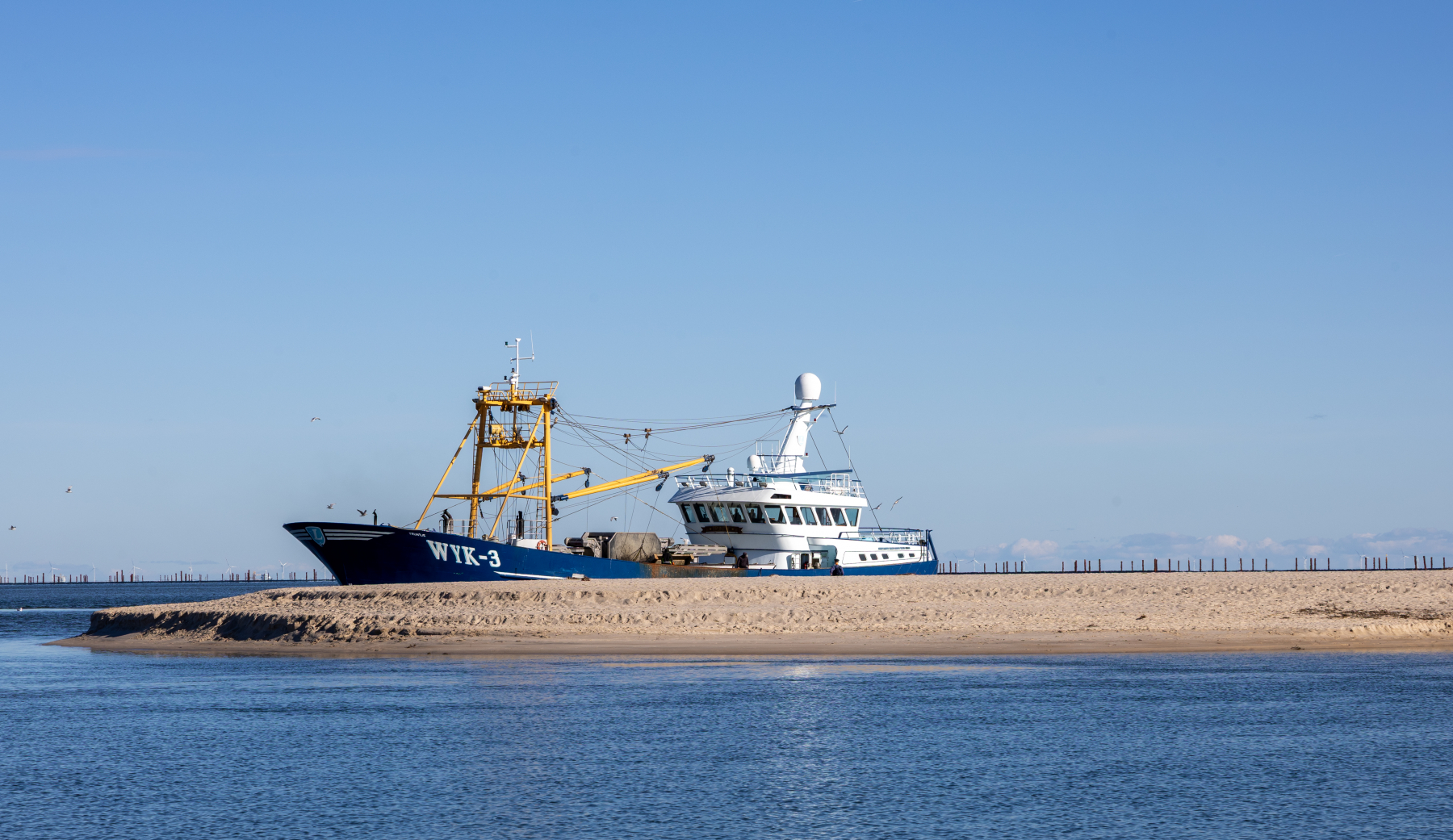 20251018-3M3A2365 20251018-3M3A2365