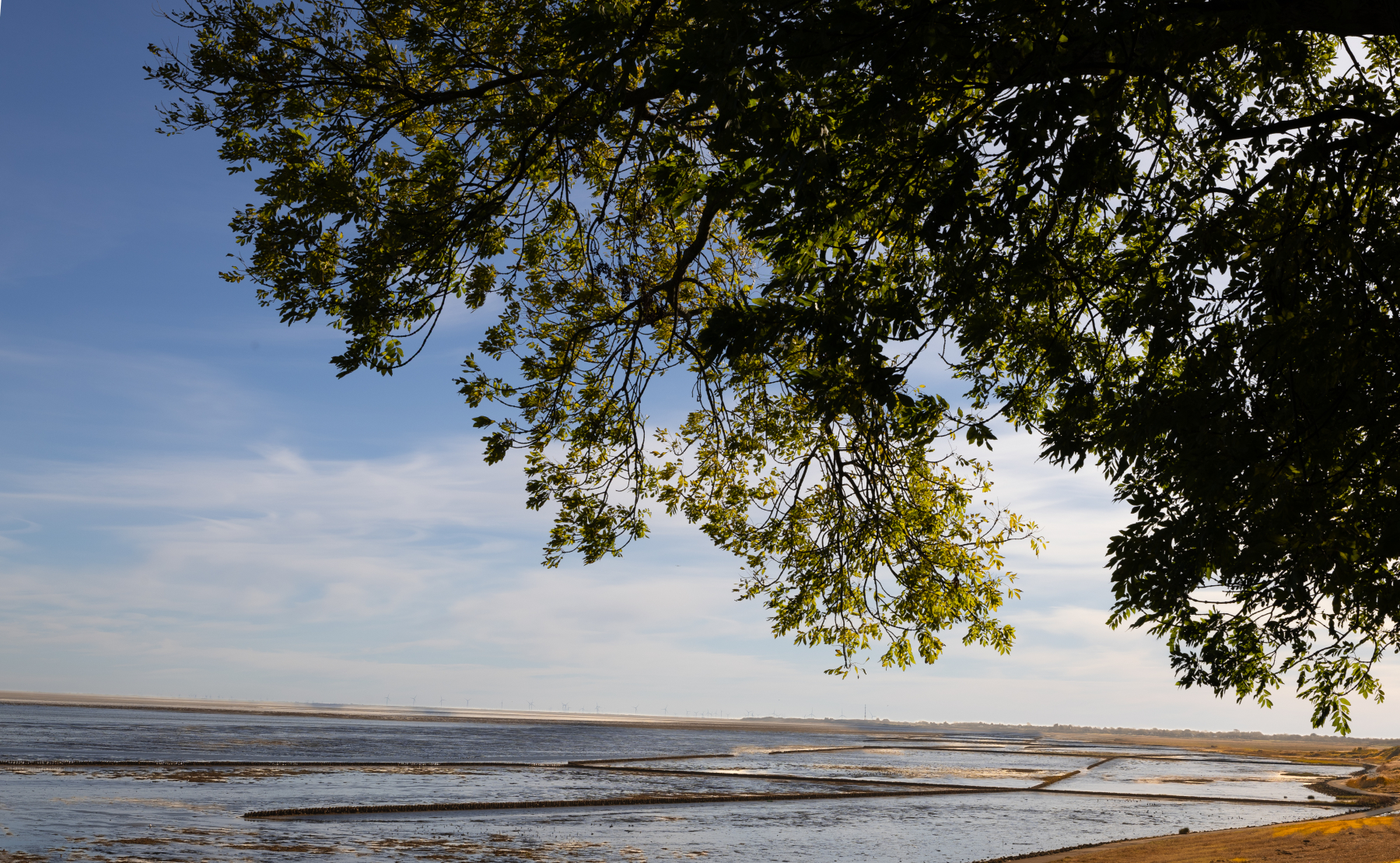 20251019-3M3A2584 20251019-3M3A2584