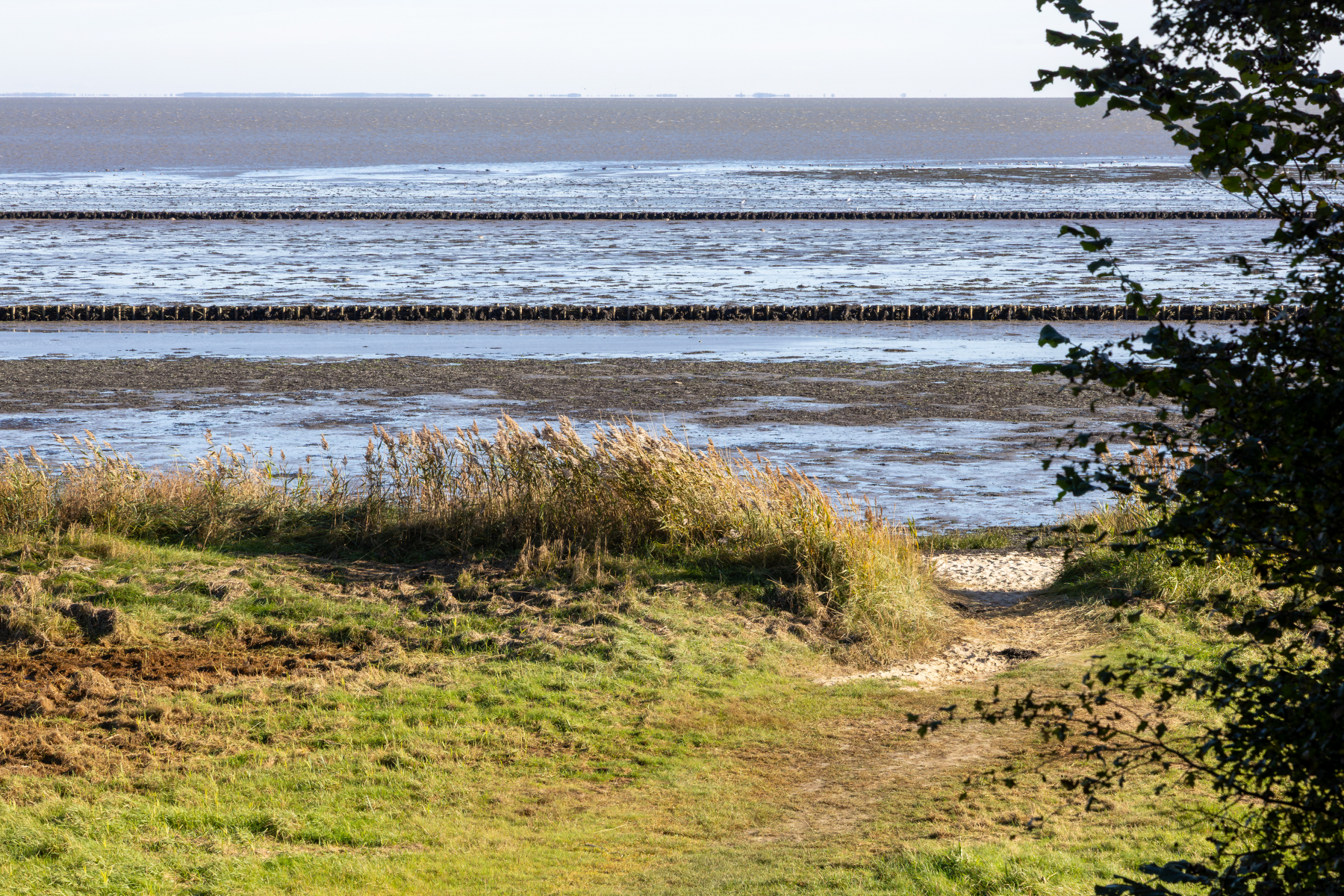 20251019-3M3A2591 20251019-3M3A2591