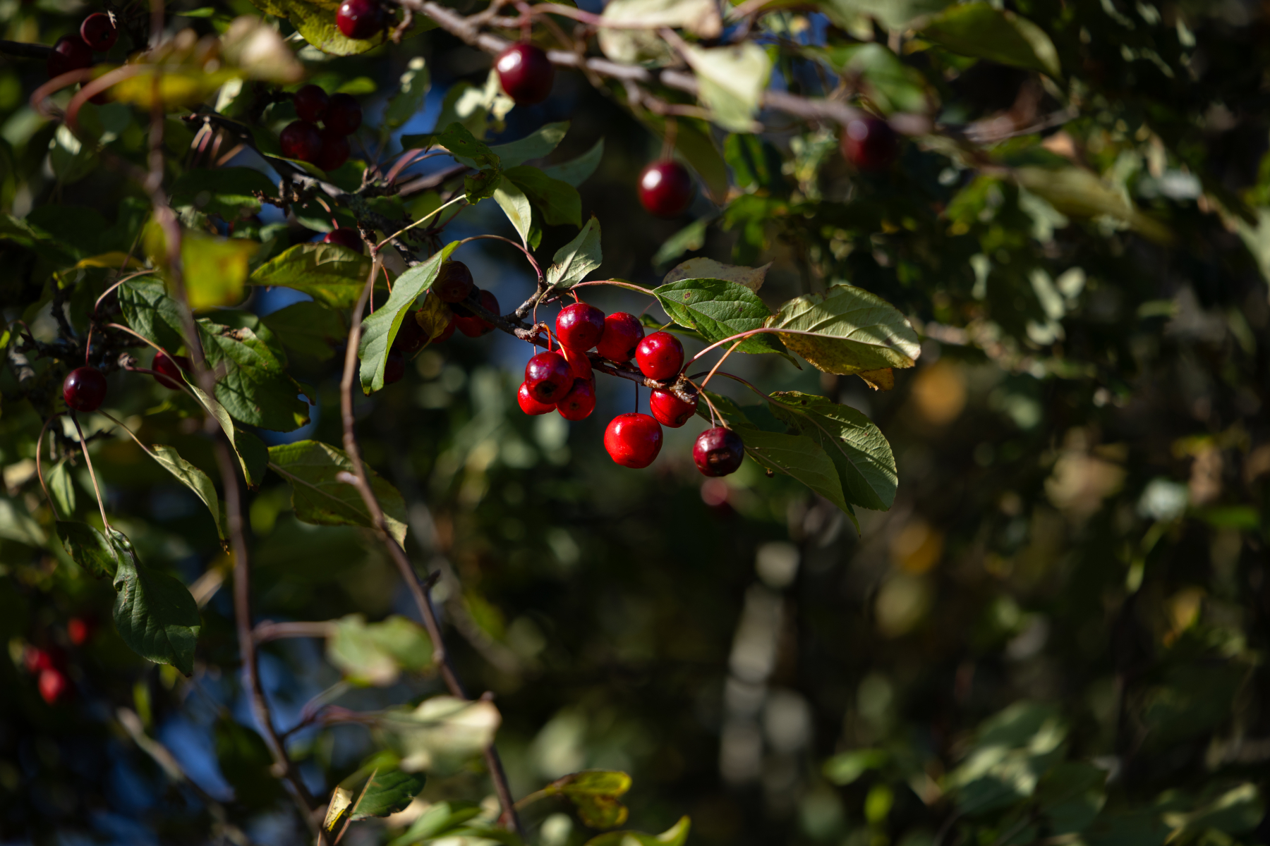 20251019-3M3A2626 20251019-3M3A2626