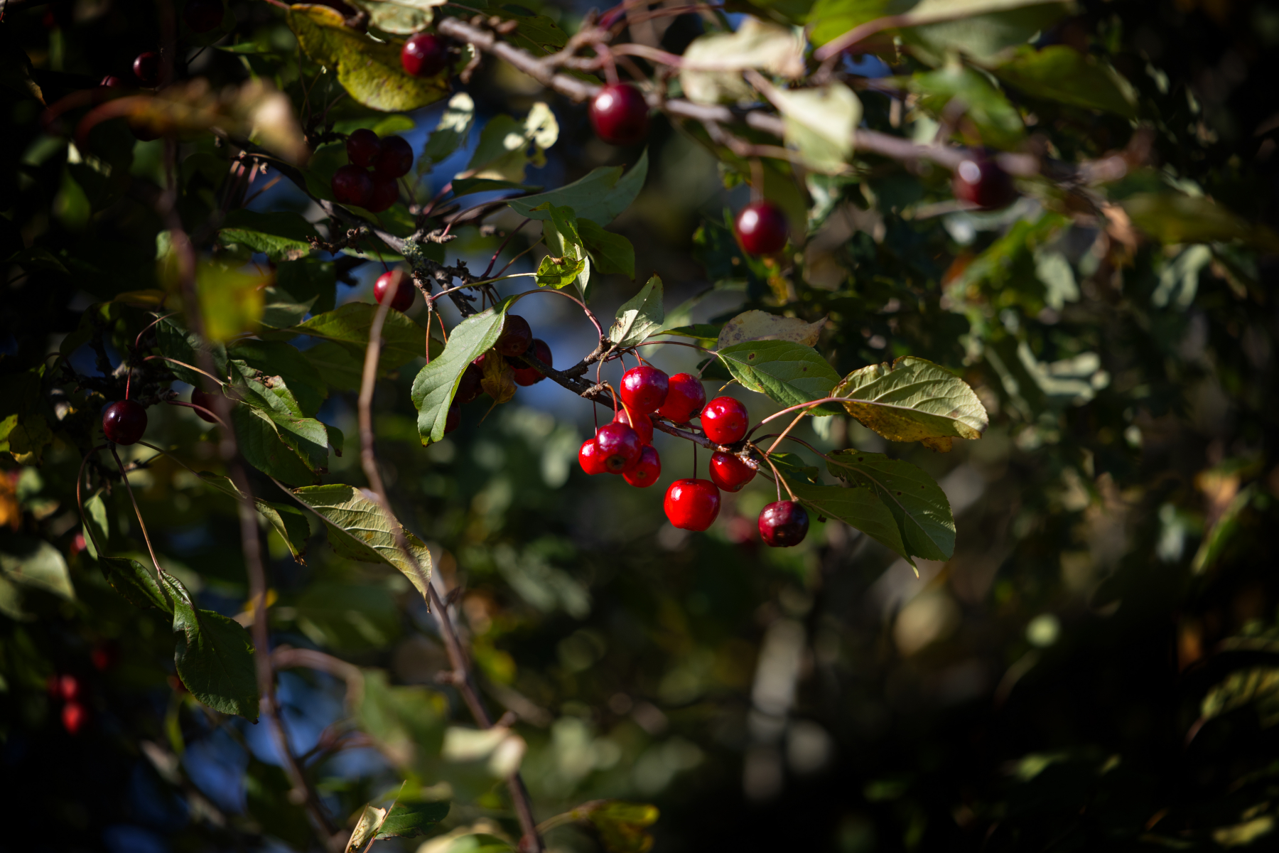 20251019-3M3A2627-Bearbeitet 20251019-3M3A2627-Bearbeitet