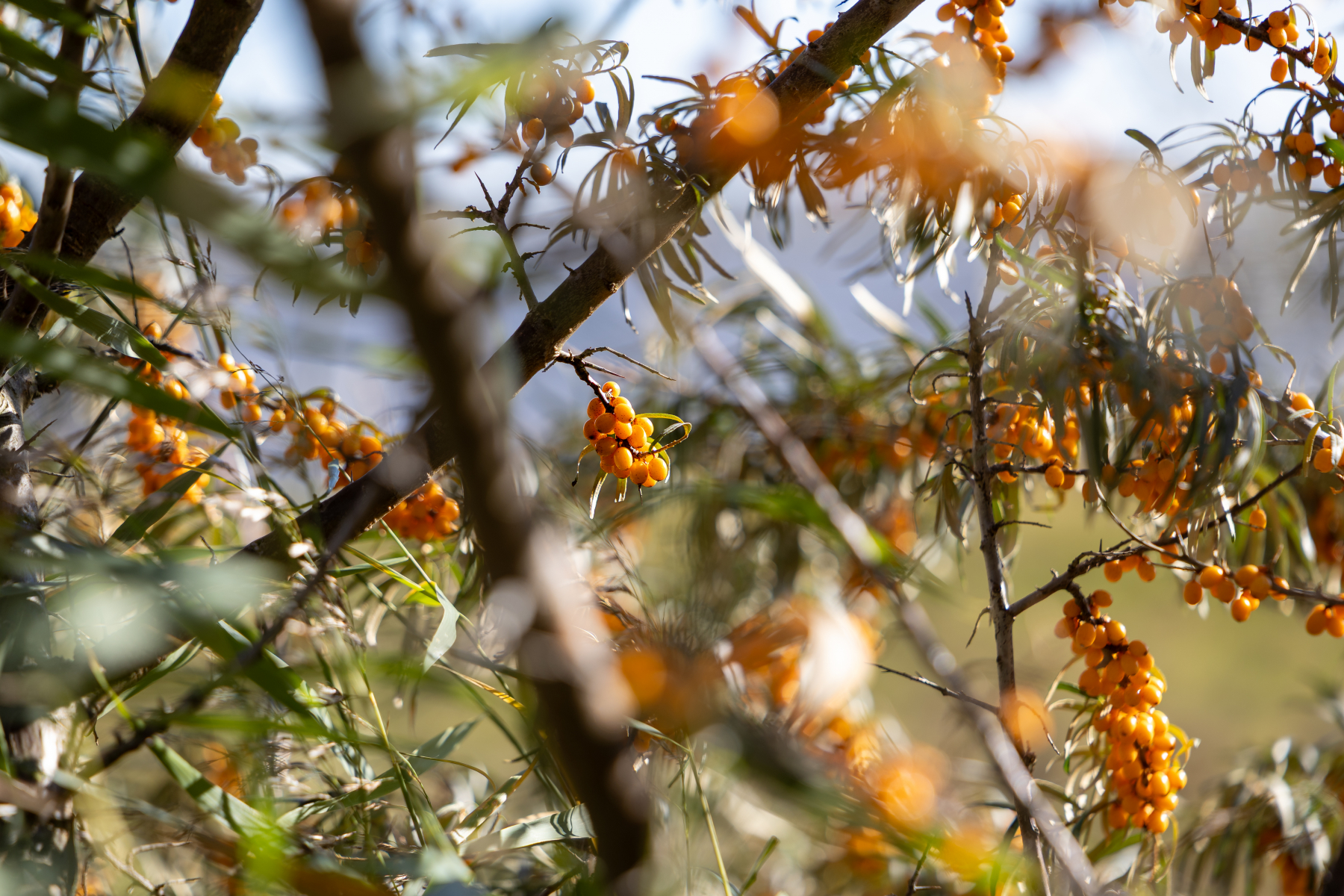 20251019-3M3A2665 20251019-3M3A2665