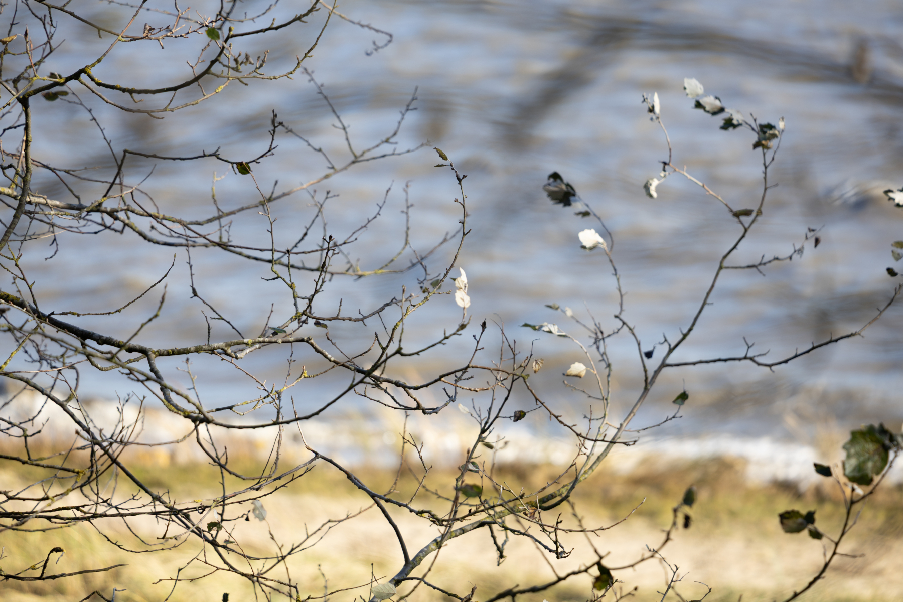 20251019-3M3A2678 20251019-3M3A2678