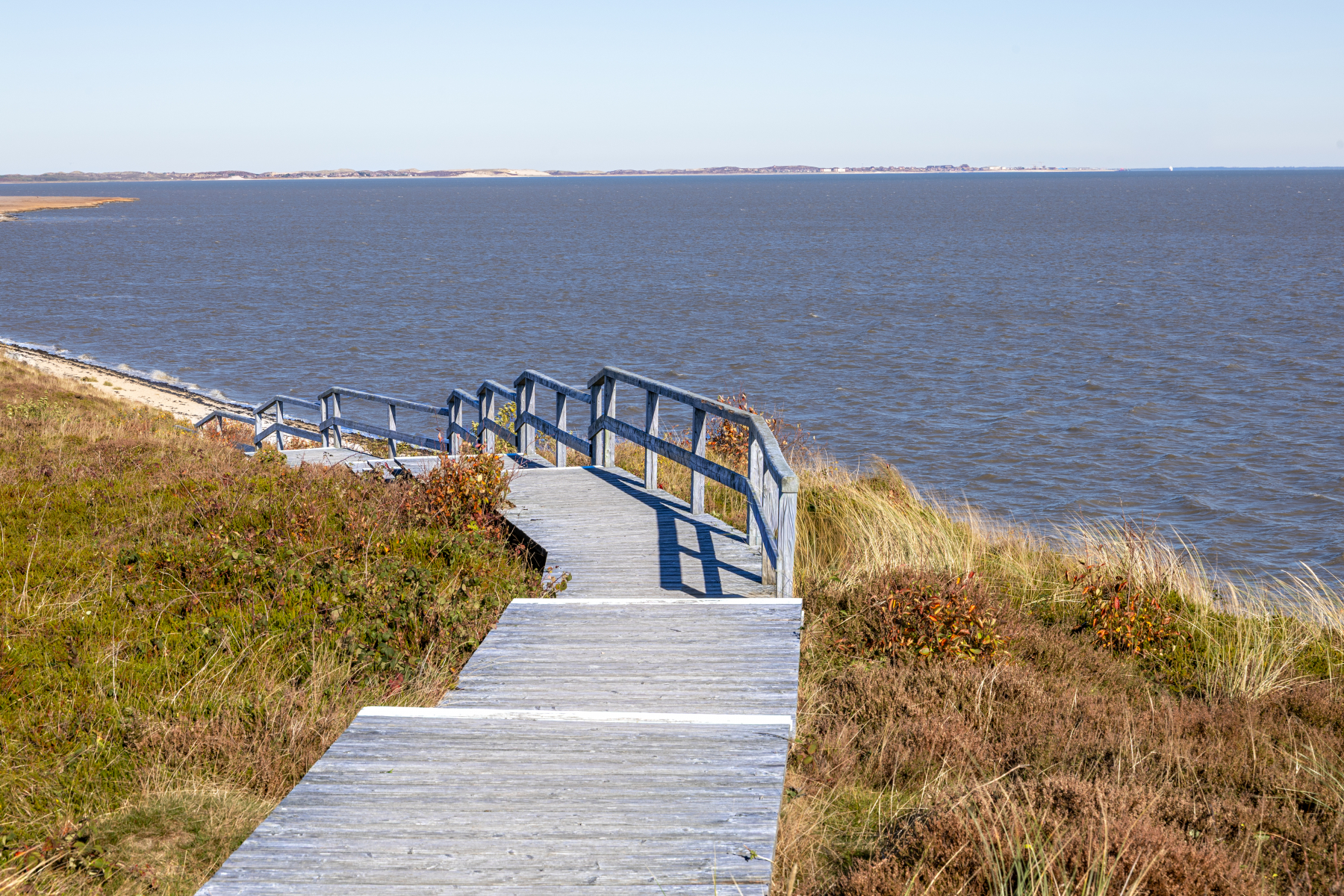 20251019-3M3A2683 20251019-3M3A2683