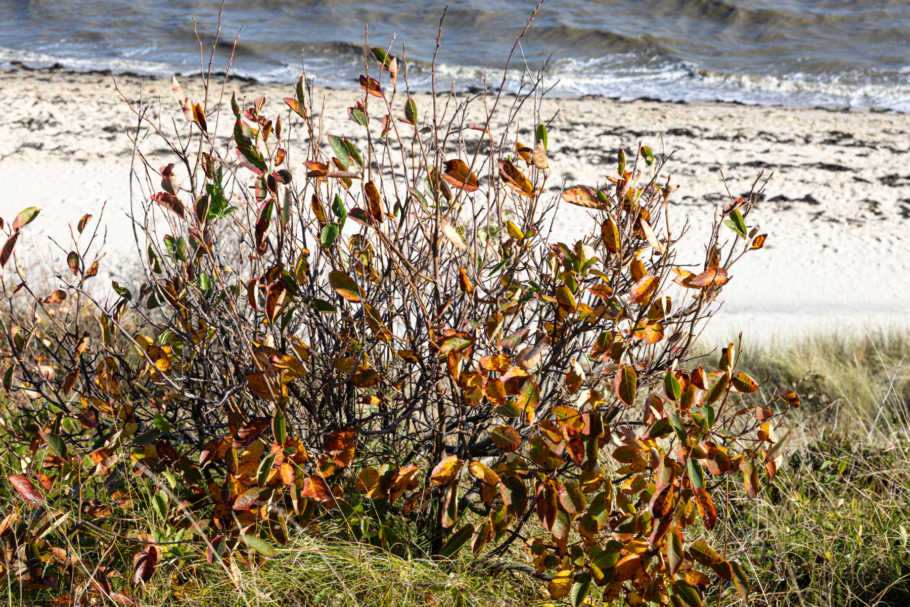 20251019-3M3A2686 20251019-3M3A2686