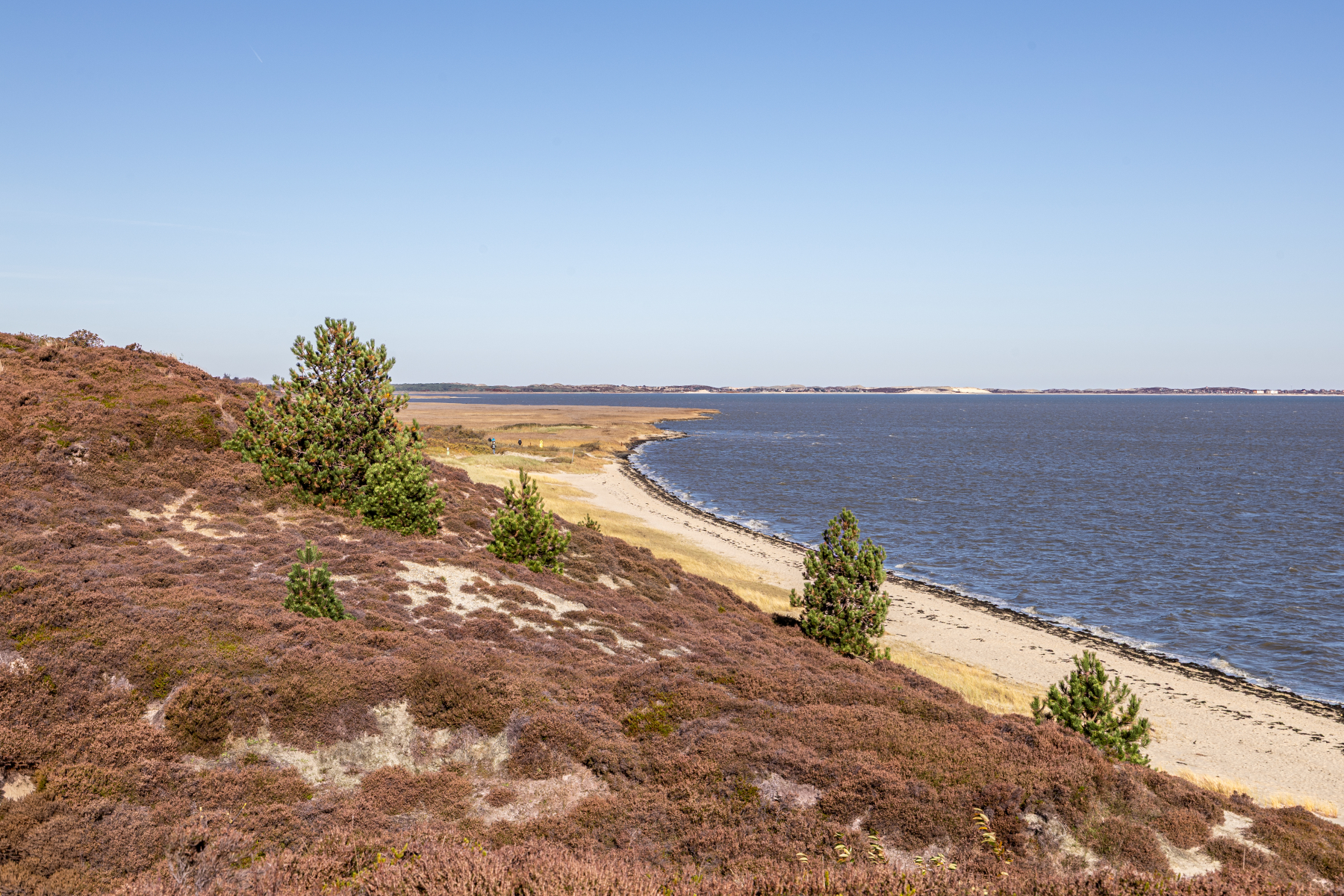 20251019-3M3A2689 20251019-3M3A2689