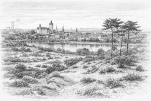 Frankfurt Höchst -Schwanheimer Düne