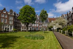 Amsterdam und Umgebung April 2025 Ein ruhiger Innenhof in Amsterdam, umgeben von historischen Gebäuden Amsterdam und Umgebung April 2025 Grüne Wiese im historischen Innenhof von Amsterdam