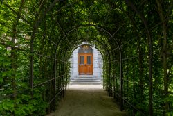 Amsterdam und Umgebung April 2025 Ein üppiger Laubengang endet an einer beeindruckenden Holztür eines alten Gebäudes Amsterdam und Umgebung April 2025 Grüner Laubengang führt zu einer Holztür in einem historischen Gebäude