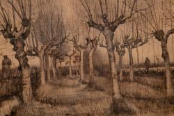 Amsterdam und Umgebung April 2025 Zwei Bauern hüten eine Schafherde in einer von Bäumen gesäumten Allee Amsterdam und Umgebung April 2025 Historische Zeichnung von Bäumen und zwei Bauern mit Schafherde