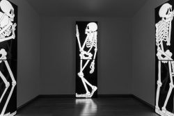 Amsterdam und Umgebung April 2025 Ein faszinierendes Kunstwerk zeigt Skelettdarstellungen in einem schlichten Raum. Amsterdam und Umgebung April 2025 Schwarz-weiße Skelettkunstinstallation in dunklem Raum