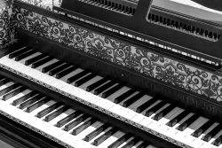 Amsterdam und Umgebung April 2025 Detailaufnahme eines kunstvoll verzierten Klaviers in Schwarz-Weiß Amsterdam und Umgebung April 2025 Schwarz-weiße Nahaufnahme einer kunstvoll verzierten Klaviertastatur