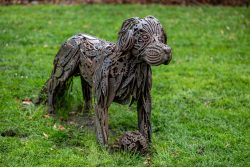 Amsterdam und Umgebung April 2025 Diese kunstvolle Skulptur zeigt einen Hund aus Metall und befindet sich auf einer grünen Wiese Amsterdam und Umgebung April 2025 Skulptur eines Hundes aus Metall auf einer Wiese
