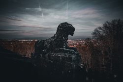 Bamberg - Bamberg Weihnachtsmarkt 2023 Eine majestätische Steinstatue eines Löwen blickt auf die Stadt hinaus Bamberg - Bamberg Weihnachtsmarkt 2023 Steinstatue eines Löwen auf einer Mauer vor einer weitläufigen Stadtkulisse