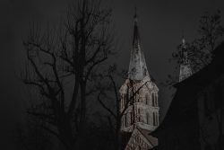 Bamberg - Bamberg Weihnachtsmarkt 2023 Eine gotische Kirche ragt in der Nacht hervor, umgeben von Bäumen Bamberg - Bamberg Weihnachtsmarkt 2023 Nachtaufnahme einer beleuchteten gotischen Kirche mit Bäumen im Vordergrund