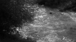 Fotografie von Aloys Peter Trenz Schwarzweiß-Bild eines fließenden Flusses mit Bäumen am Ufer Ausgewählte Fotomotive von Aloys Peter Trenz