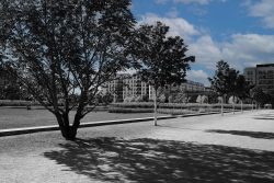 Fotografie von Aloys Peter Trenz Städtischer Park mit Bäumen und modernen Gebäuden im Hintergrund Ausgewählte Fotomotive von Aloys Peter Trenz