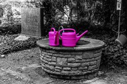 Fotografie von Aloys Peter Trenz Zwei rosa Gießkannen auf einem alten Brunnen im Wald Ausgewählte Fotomotive von Aloys Peter Trenz