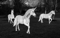 Frankfurt Palmengarten Winterlichter 2025 Leuchtende Einhornskulpturen im Park bei Nacht