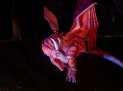 Frankfurt Palmengarten Winterlichter 2025 Leuchtender Drache bei Nacht mit ausgebreiteten Flügeln