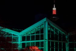 Frankfurt Palmengarten Winterlichter 2025 Nachtaufnahme eines beleuchteten Gebäudes mit Turm im Hintergrund