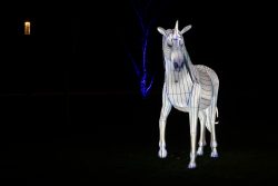 Frankfurt Palmengarten Winterlichter 2025 Helle Einhorn-Laterne leuchtet im Dunkeln bei einer Nachtveranstaltung