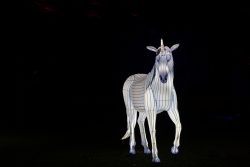 Frankfurt Palmengarten Winterlichter 2025 Leuchtendes Einhorn in Kunstinstallation bei Nacht