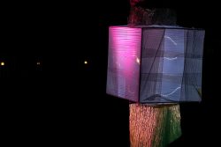 Frankfurt Palmengarten Winterlichter 2025 Beleuchtete Kunstinstallation an einem Baum bei Nacht