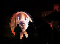 Frankfurt Palmengarten Winterlichter 2025 Leuchtdisplay mit großem Hundegesicht bei Nacht beleuchtet