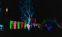 Frankfurt Palmengarten Winterlichter 2025 Beleuchtetes Gebäude bei Nacht mit bunter Illumination