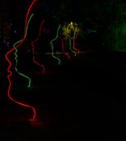 Frankfurt Palmengarten Winterlichter 2025 Leuchtende bunte Profillichter in einem dunklen Park