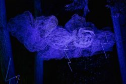 Frankfurt Palmengarten Winterlichter 2025 Beleuchtete Kunstinstallation in einem Wald bei Nacht