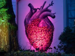 Frankfurt Palmengarten Winterlichter 2025 Beleuchtete Herzskulptur an einer Wand mit Farbakzenten