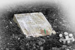 Hamburg Architekturfotografie und Hafen Februar 2024 Grabstein von Hannelore und Helmut Schmidt auf Friedhof