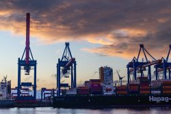 Hamburg Architekturfotografie und Hafen Februar 2024 Containerschiff und Kräne im Hafen bei Sonnenuntergang