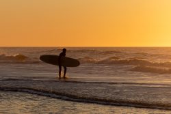 Insel Sylt Februar 2025 Ein Surfer genießt die Abendstimmung am Strand Insel Sylt Februar 2025 Surfer bei Sonnenuntergang am Strand mit Surfbrett im Wasser
