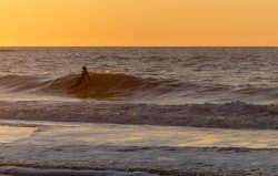 Insel Sylt Februar 2025 Eine Person surft eine Welle bei Sonnenuntergang im Meer Insel Sylt Februar 2025 Surfer bei Sonnenuntergang auf Welle am Meer