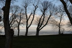 Insel Sylt Februar 2025 Silhouetten von Bäumen vor einem ruhigen See im Abendlicht Insel Sylt Februar 2025 Karge Bäume am Ufer bei Sonnenuntergang