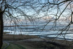 Insel Sylt Februar 2025 Blick auf die Küste im Winter mit kahlen Bäumen am Ufer Insel Sylt Februar 2025 Winterlicher Strand mit kahlen Bäumen und ruhigem Meerblick