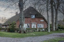 Insel Sylt Februar 2025 Ein charmantes Reetdachhaus eingebettet in ländlicher Umgebung Insel Sylt Februar 2025 Historisches Reetdachhaus hinter Bäumen in einer ländlichen Umgebung