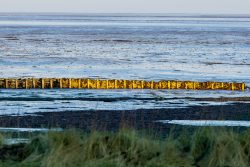 Insel Sylt Februar 2025 Wellenbrechende Holzpfosten entlang der Küste der Nordsee. Insel Sylt Februar 2025 Holzpfosten brechen raue Nordsee Wellen