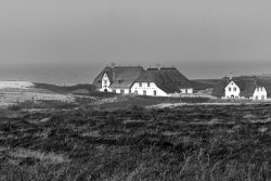 Insel Sylt Februar 2025 Idyllische Reetdachhäuser mit Blick auf die winterliche Nordsee. Insel Sylt Februar 2025 Historische Reetdachhäuser an der Nordsee auf einer winterlichen Landschaft