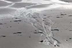 Insel Sylt Februar 2025 Feine Linien und Muster im Sand geschaffen durch fließendes Wasser Insel Sylt Februar 2025 Sandstrukturen am Strand durch Wassererosion geformt