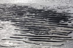 Insel Sylt Februar 2025 Ebbe hinterlässt faszinierende Wellmuster am Strand Insel Sylt Februar 2025 Strand mit Wellmustern im Sand bei Ebbe